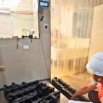 imagen_2025-11-06_194820259