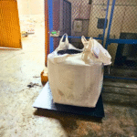 imagen_2025-11-06_195140363